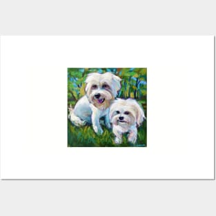 Cute Maltese Pups in the Park Posters and Art